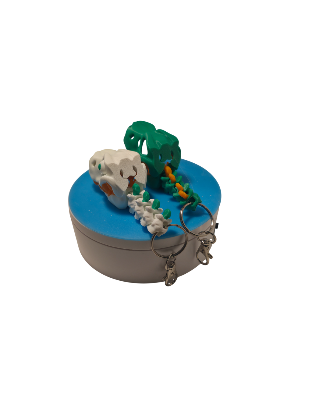 3D Printed T-Rex Skeleton Skull Head Keychain Dinosaur Fossil Charm